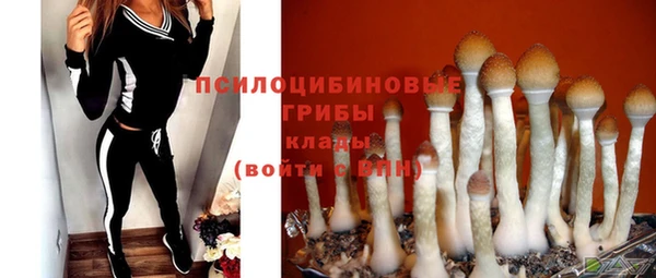 a pvp Верея